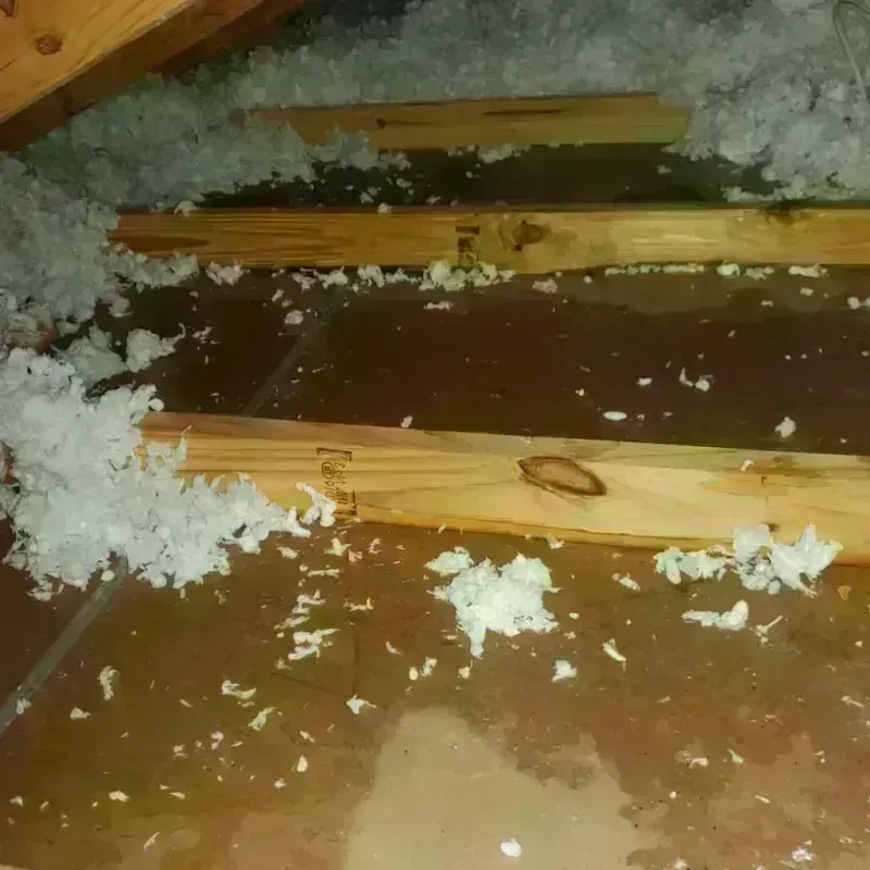 Attic Water Damage in Berea, SC