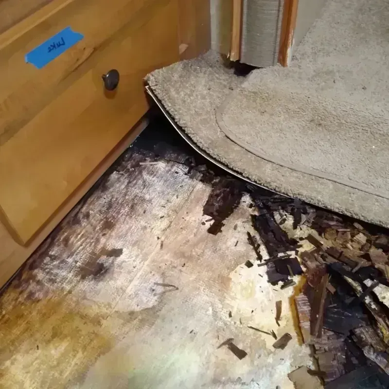 Wood Floor Water Damage in Berea, SC